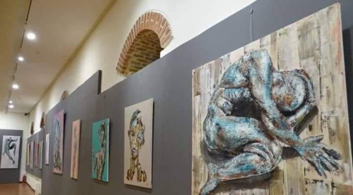 Σιούλας Νεκτάριος “βρίσκομαι σε μία διαρκή αναζήτηση, με απότερο σκοπό τον τρόπο έκφρασης”