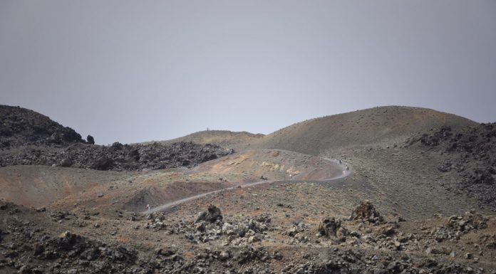 A Field Guide to Getting Lost Vol.2