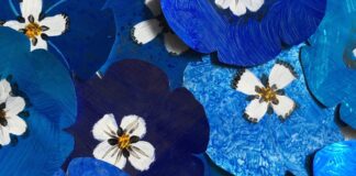 «Έλεύθερος ως ποταμός» Εικαστική παρέμβαση, διαδραστικό δρώμενο στη Ρεματιά Χαλανδρίου