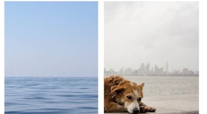 «ΝΟΣΤΟΣ & ΑΛΓΟΣ» Τζένη Παγώνη, Νένα Μάγειρα στην Gallery Ζουμπουλάκη