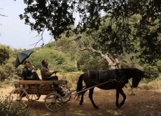 “Λούγκερ” του Κώστα Χαραλάμπους