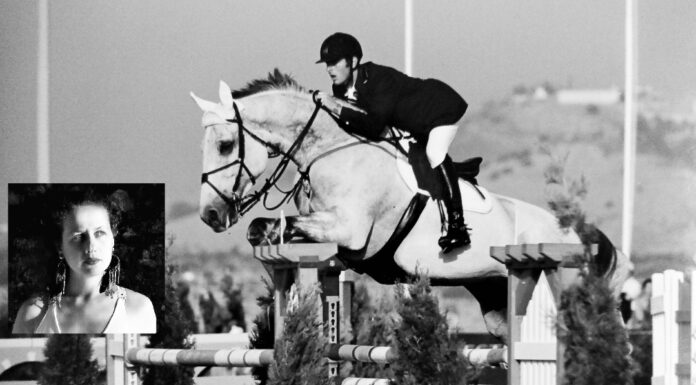 «Equine art & Philosophy…» Ένας διάλογος ανάμεσα στην Ιππασία και την Τέχνη