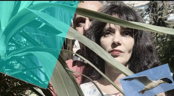 «Ο γλάρος έφυγε με το λεωφορείο» του Γιάννη Σολδάτου από τους Θεατρίνων θεατές