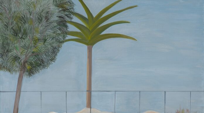 Η γκαλερί ArtShot – Sophia Gaitani παρουσιάζει την ατομική έκθεση της Μαρίας Φιλιππακοπούλου «Πεδία – Fields»