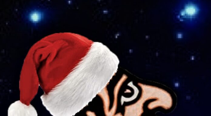 «ΚαραγκιοζοΧριστούγεννα μετά μουσικής, παραδοσιακά!»