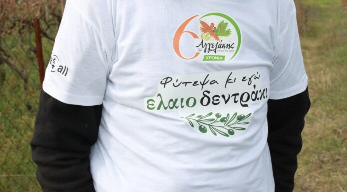 Φύτευση 1.800 ελαιόδεντρων στη Β. Εύβοια από την ΑΓΓΕΛΑΚΗΣ
