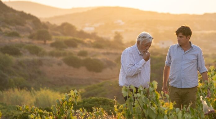 Οι σύμβουλοι-οινολόγοι της Zoumboulis & Associates μοιράζονται τις ιστορίες πίσω από τα κρασιά που υπογράφουν