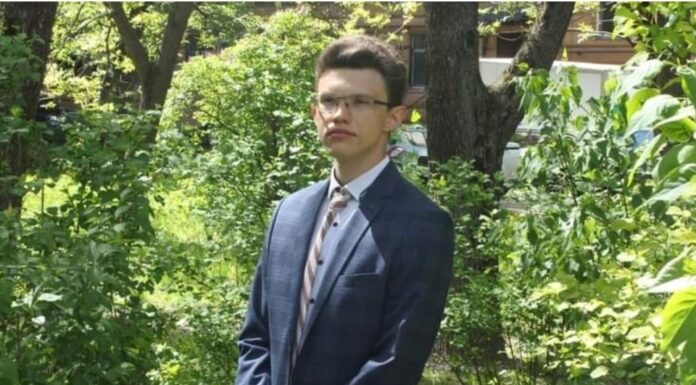 Article by Alexander Kabishev