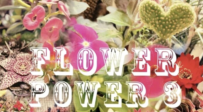 FokiaNou Art Space: Ομαδική έκθεση “Flower Power 3”