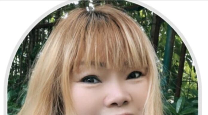 “The Stream – My Silly Girl” by Anna Keiko