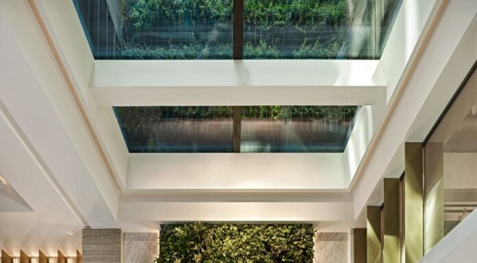 Anthology of Athens – Origin of Well Living