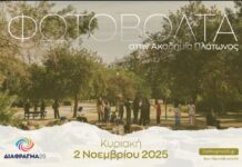 Φωτοβόλτα στην Ακαδημία Πλάτωνος