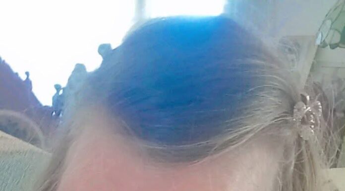 Eva Petropoulou Lianou: “About Ai Internet”