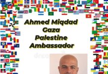 Ahmed Miqdad: “Audacious Winter”