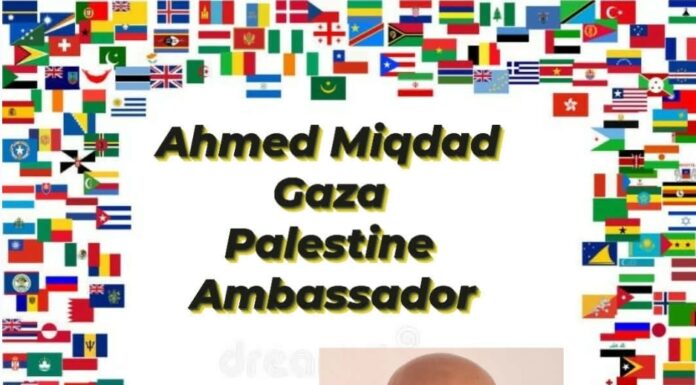 Ahmed Miqdad: “Audacious Winter”