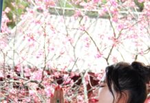 “Spring of a Thousand Years” poem by Lan Xin