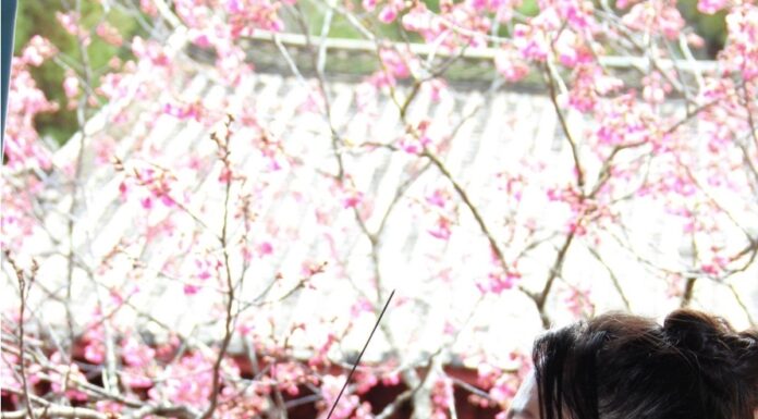 “Spring of a Thousand Years” poem by Lan Xin