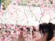 “Spring of a Thousand Years” poem by Lan Xin