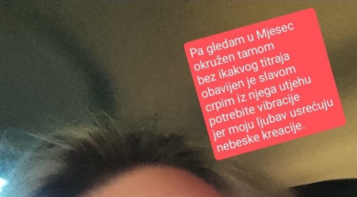 Željka Šabić: “Moon”