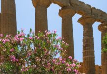 Ανοιξιάτικος καιρός: Πώς προστατευόμαστε από τις εναλλαγές του