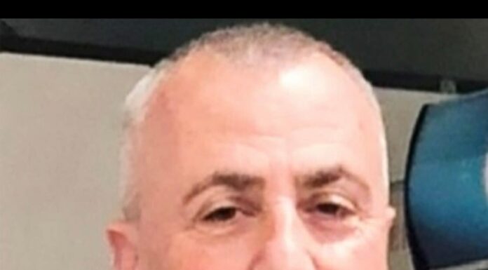 Professor Fali Ndreka: Chairman of the Fan Noli Stockerau-Austria 2024 Association