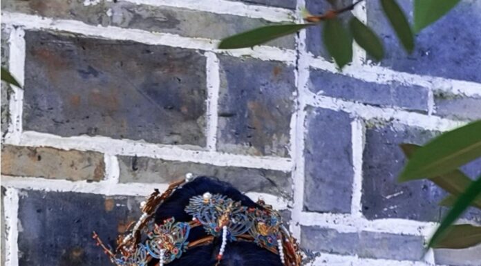 Lan Xin: A Poetic Blossom Blooming Through the River of Time