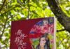 Message of appreciation and gratitude from Lan Xin to all cultural figures