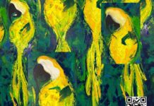 PARROTING by Christina Lappa